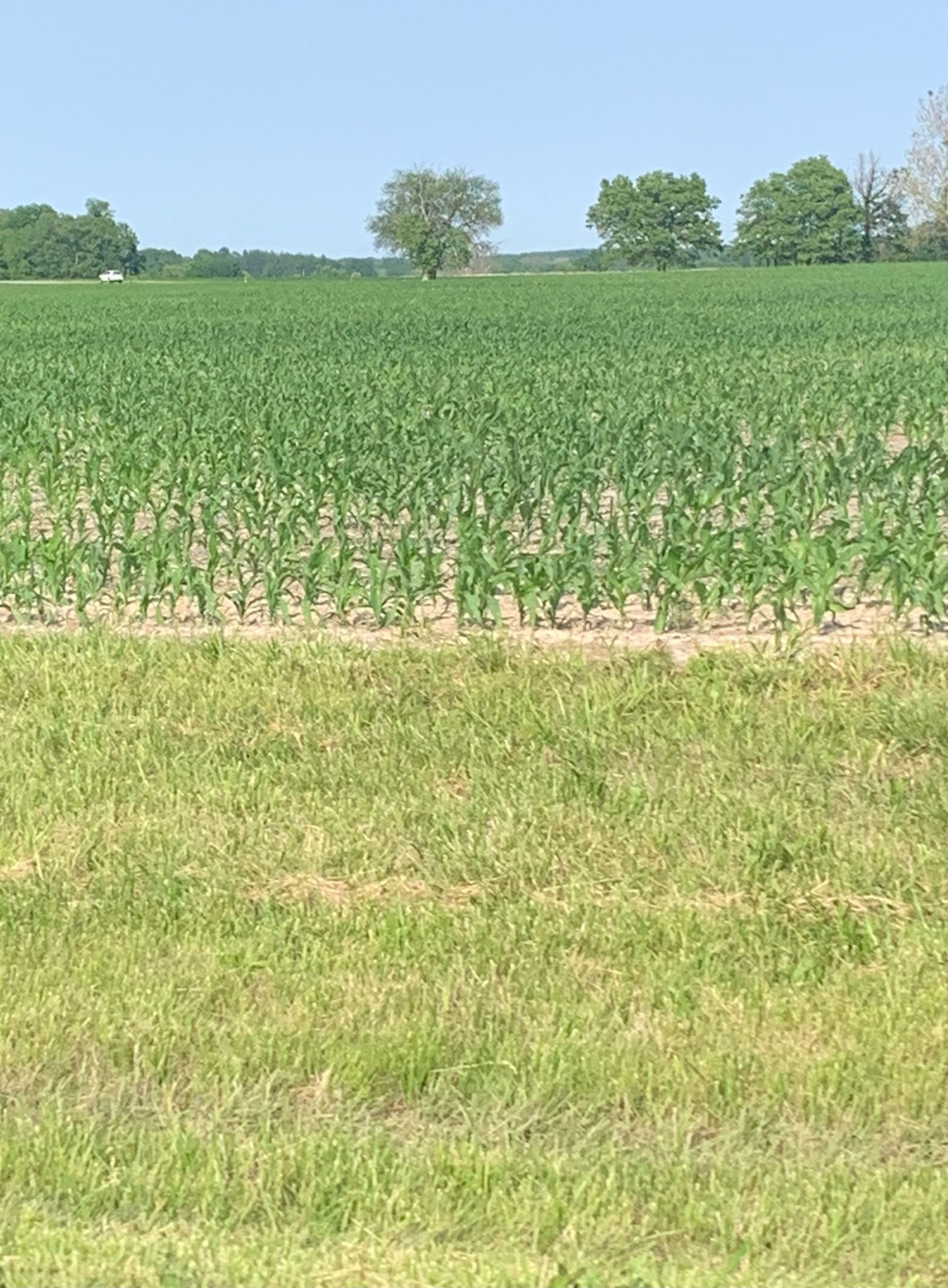 Farm appraisal services