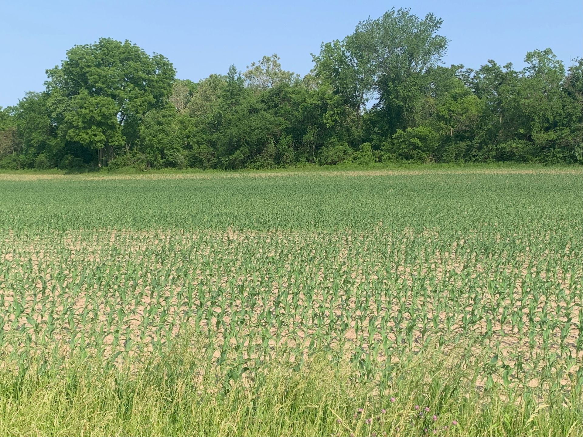 Farmland brokerage services