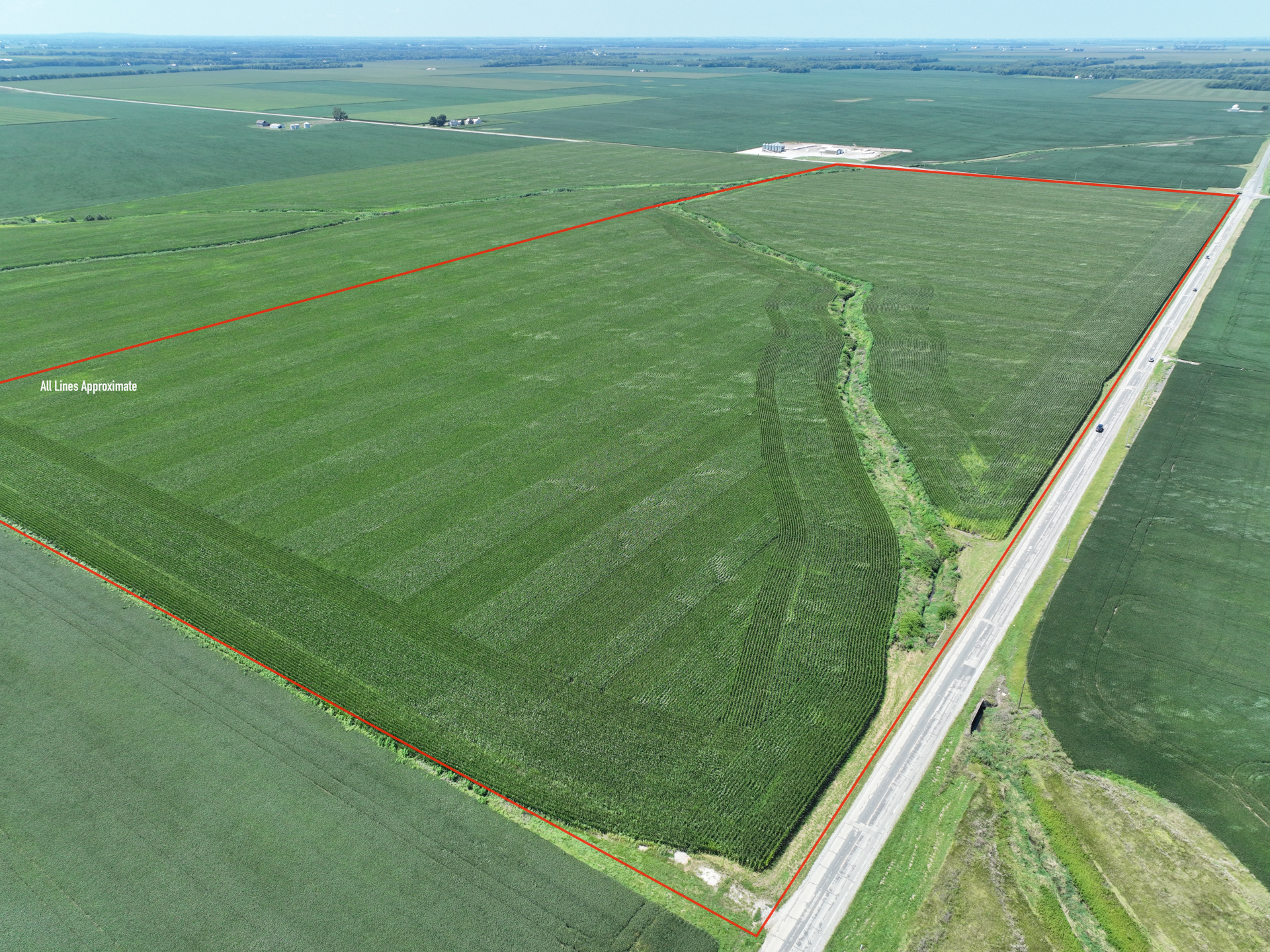 Shelby 99 - Okaw Township farmland